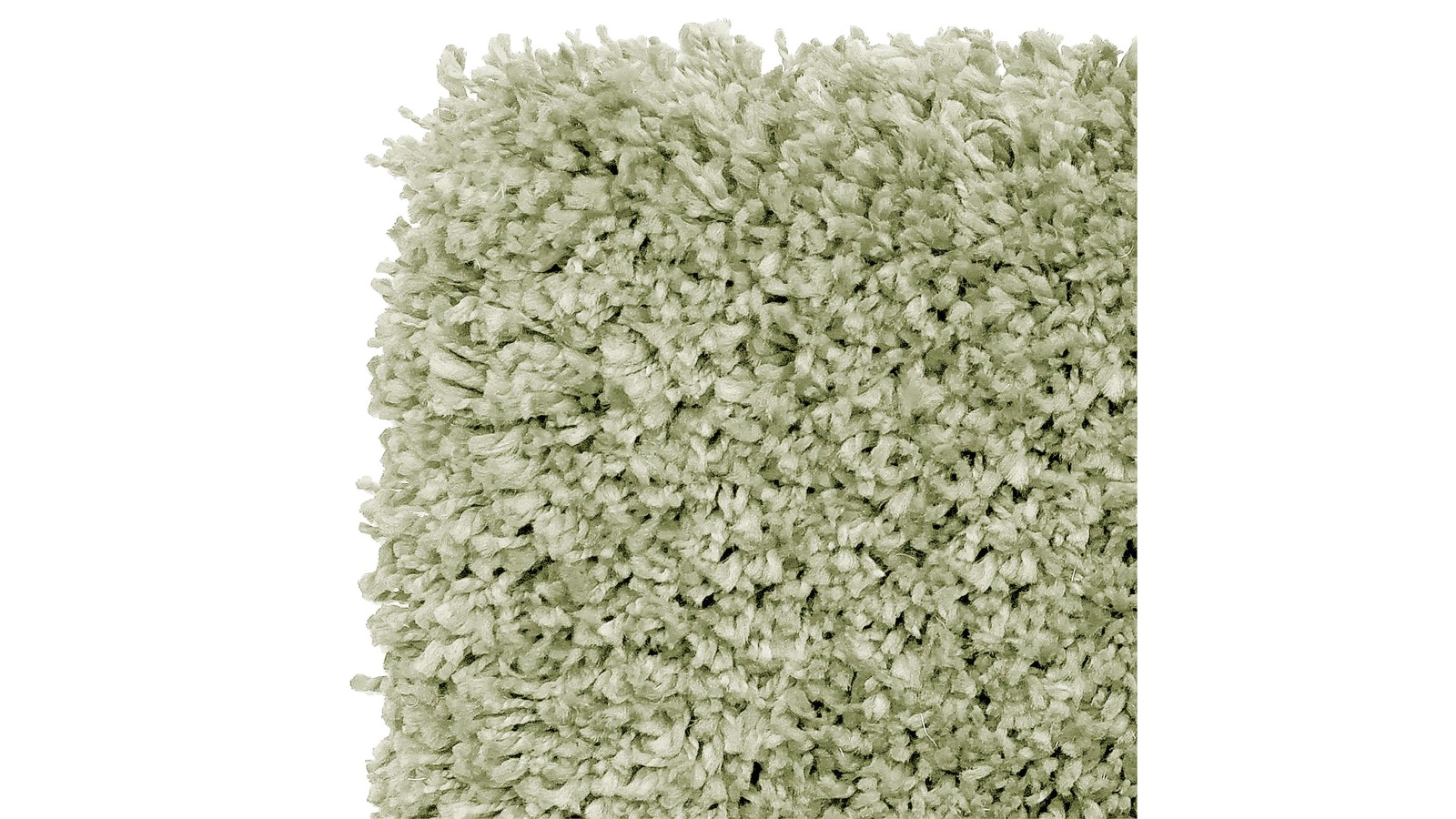 Image of Medium green shag carpet
