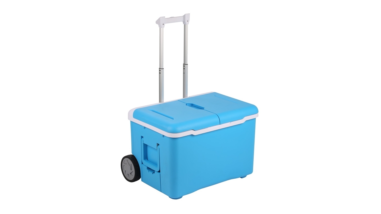 10 litre esky