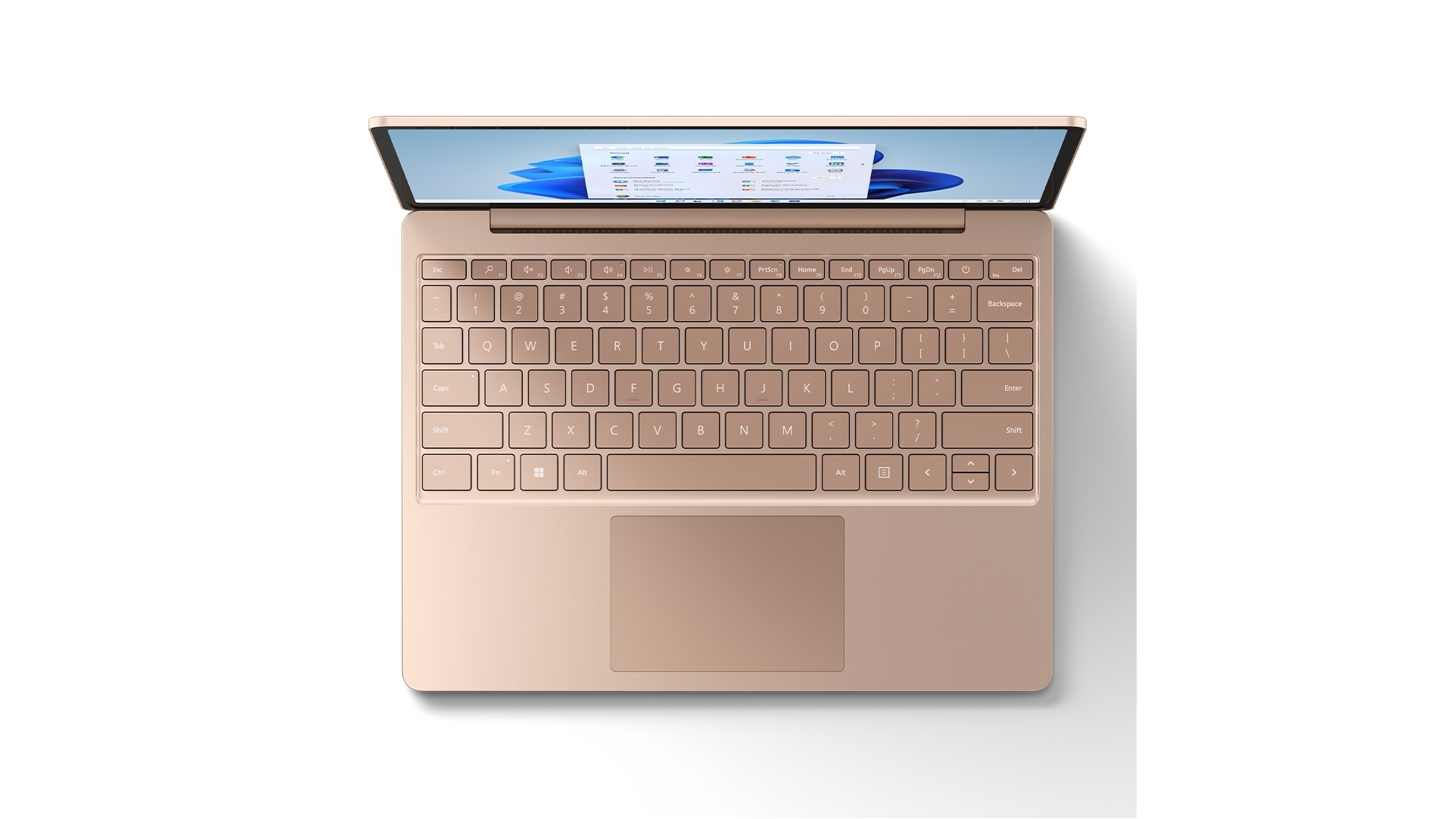 憧れ Microsoft Surface Laptop Go2 8qc Forcanobreaks Com Br