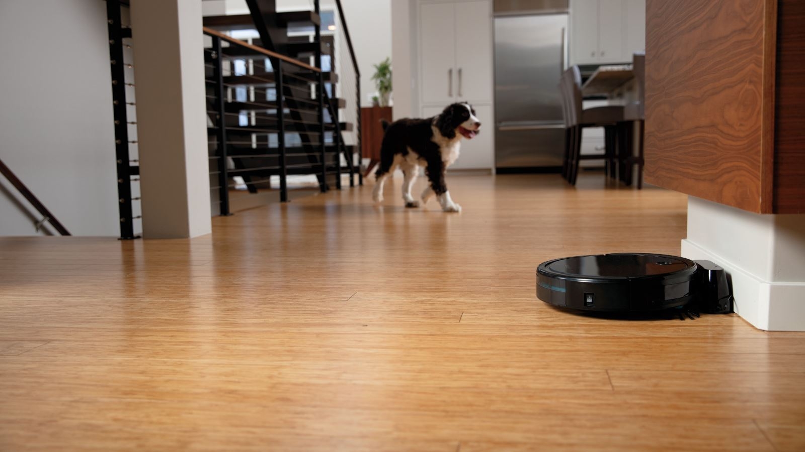 Buy Bissell CleanView Connect Robotic 