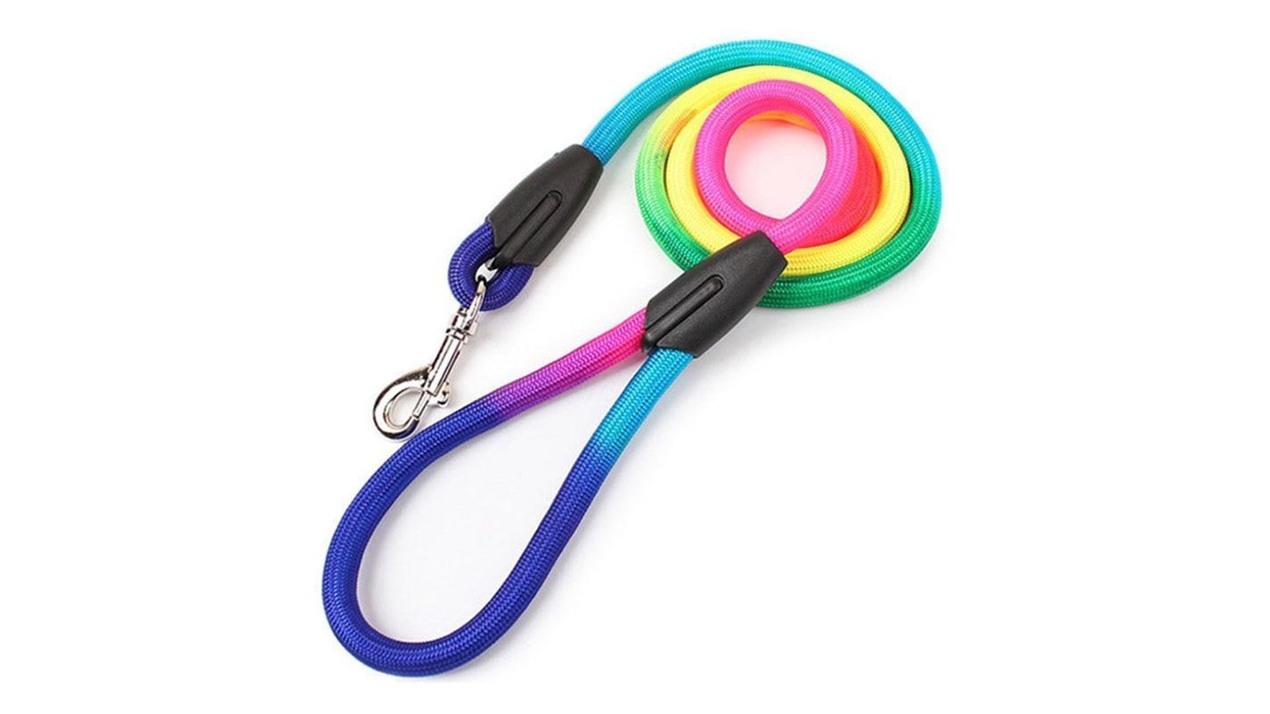 rainbow dog lead rope