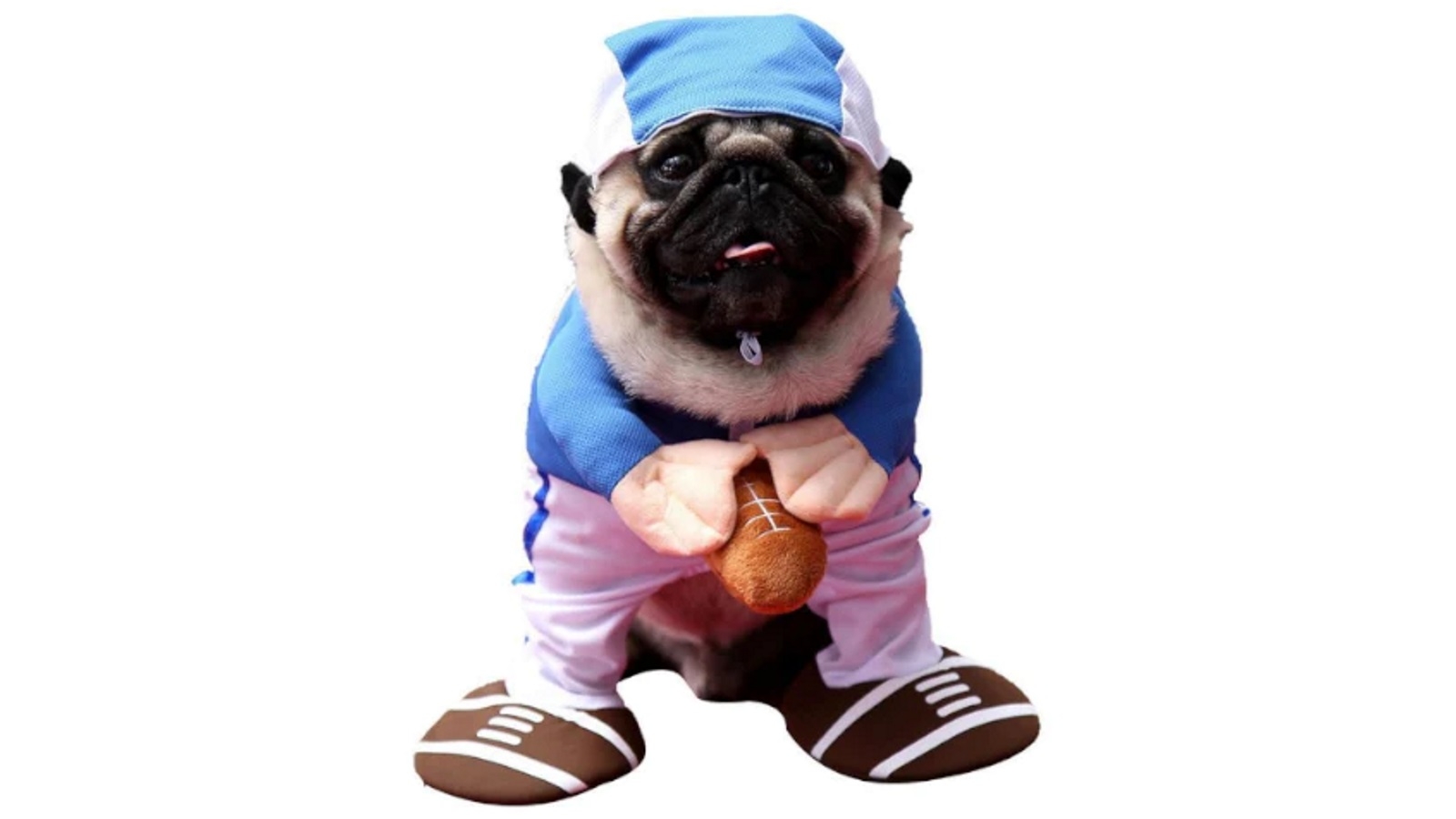 dogs dressing up outfits