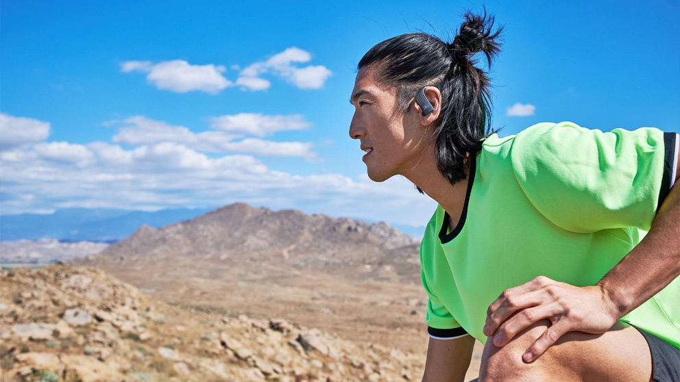 jbl endurance peak in ear