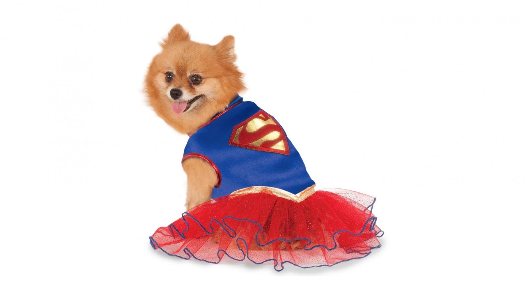 tutu dresses for adults extra large