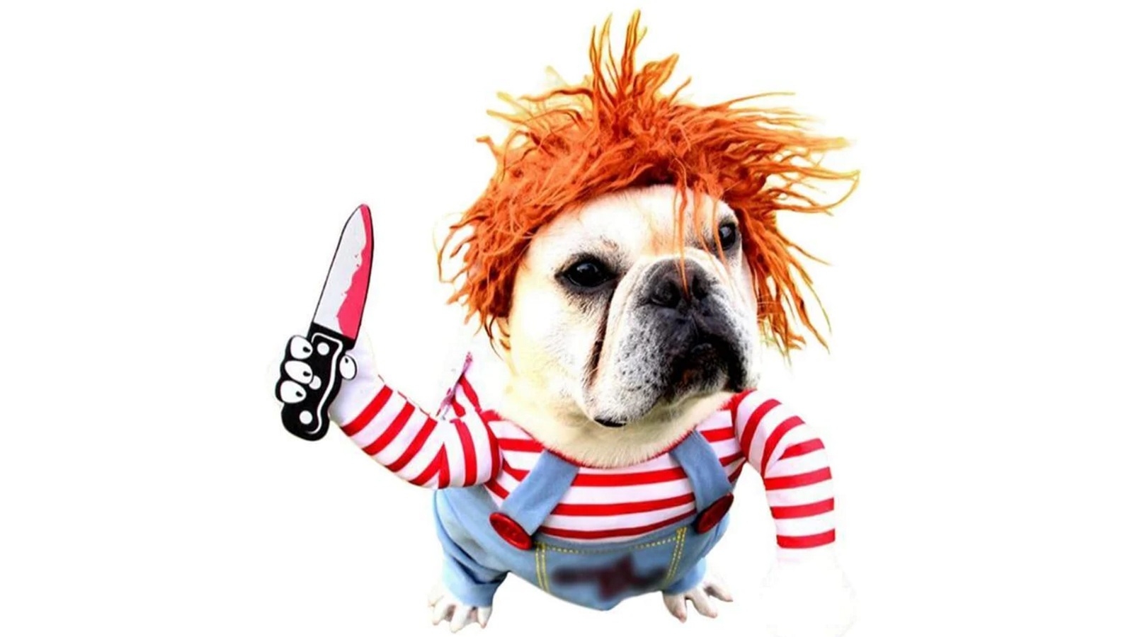 chucky costume for large dogs
