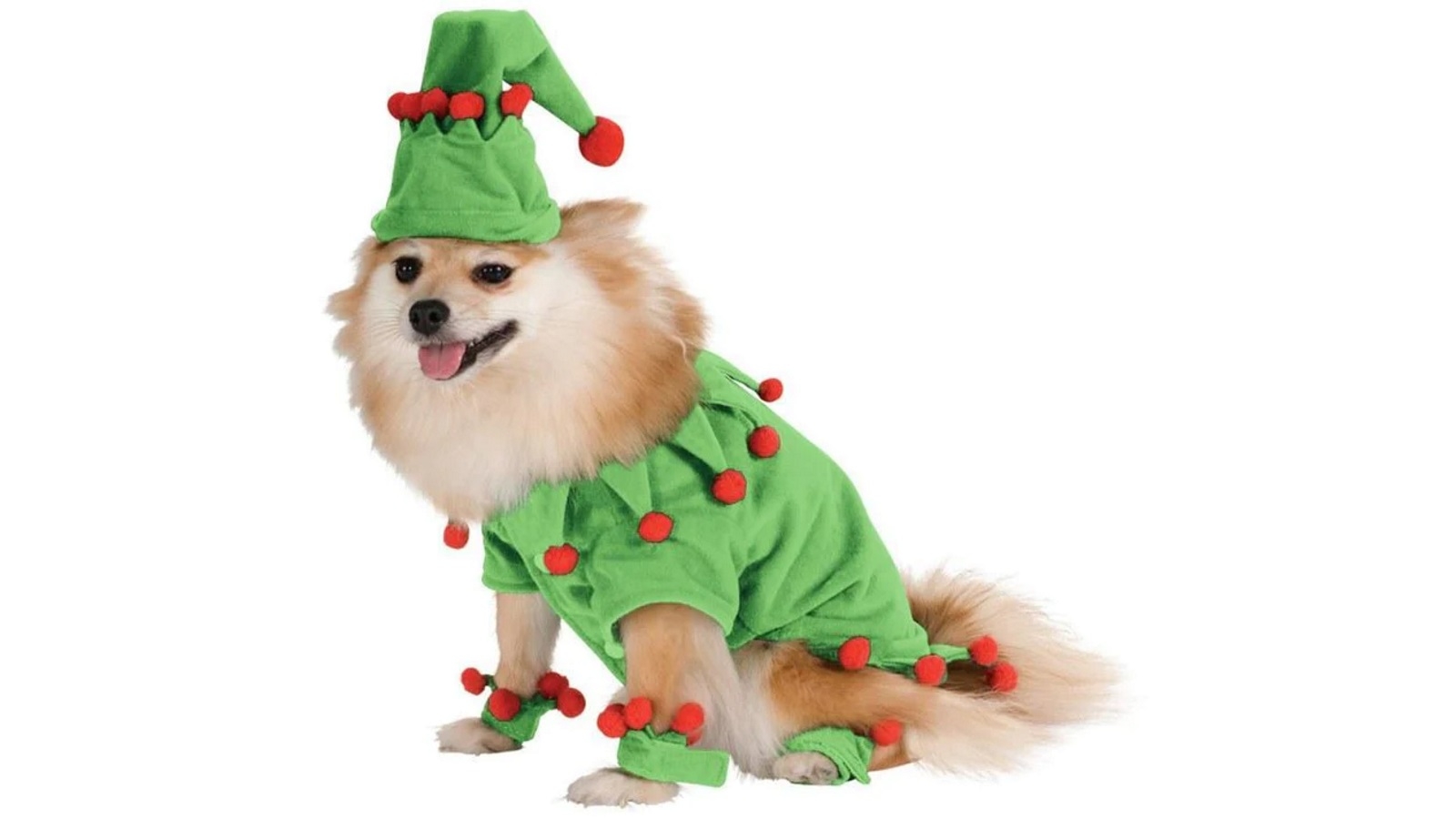 christmas dog clothes