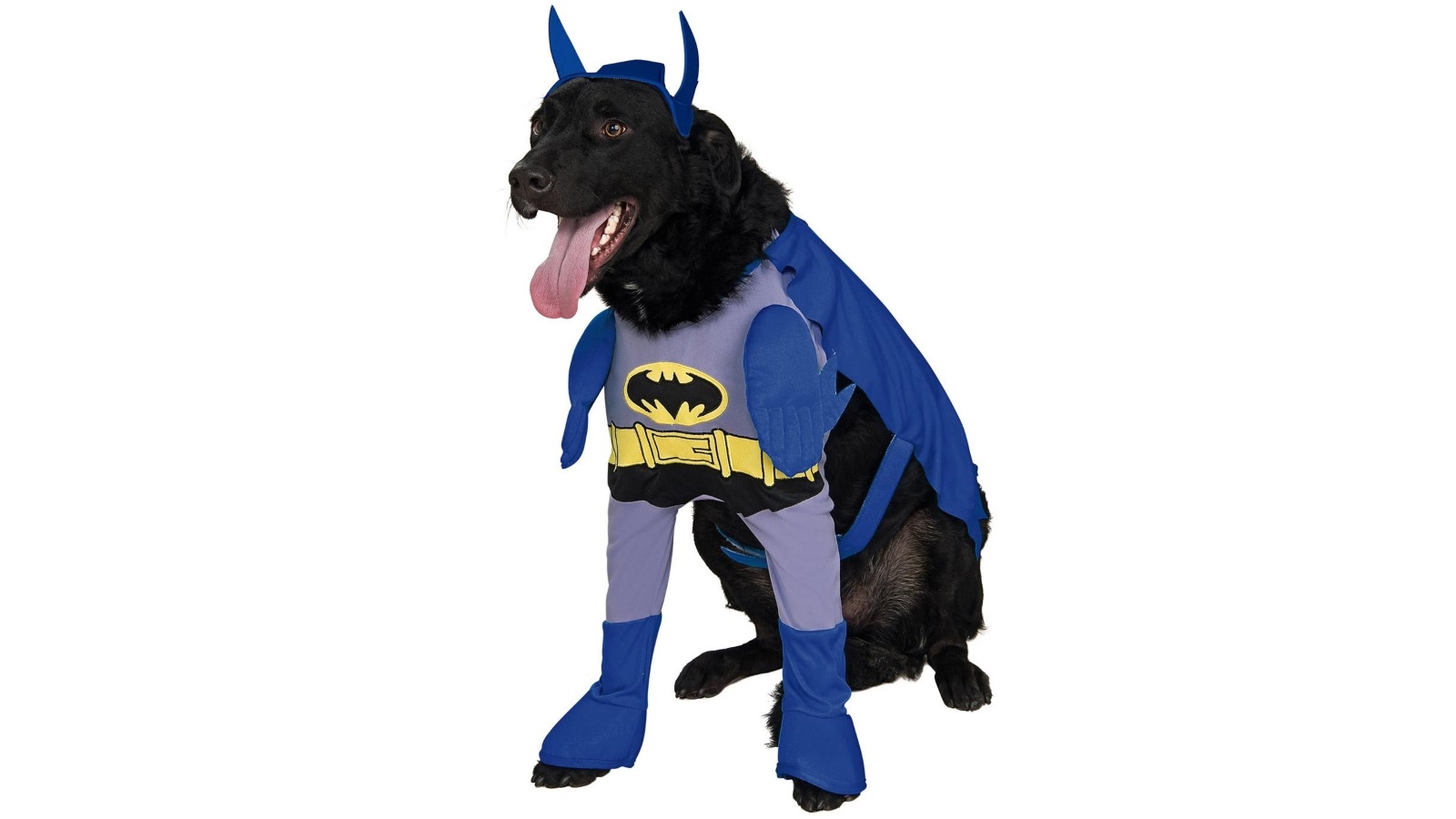 Introducir 65+ imagen batman dog costume diy Abzlocal.mx