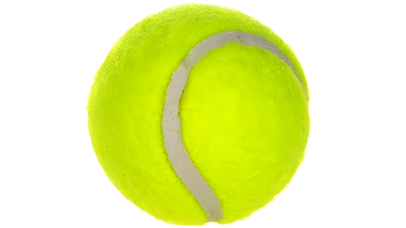 giant tennis ball dog toy