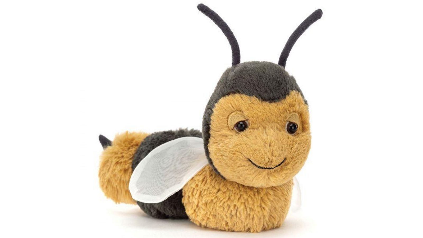 bear pomeranian puppies for sale