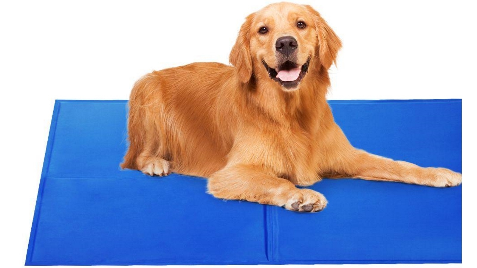 pet cooling gel mat