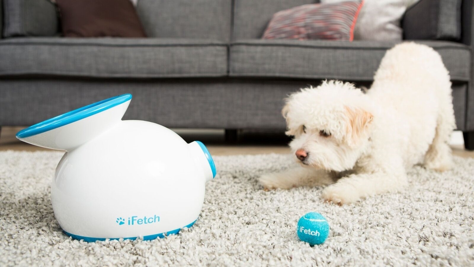 ifetch dog ball launcher