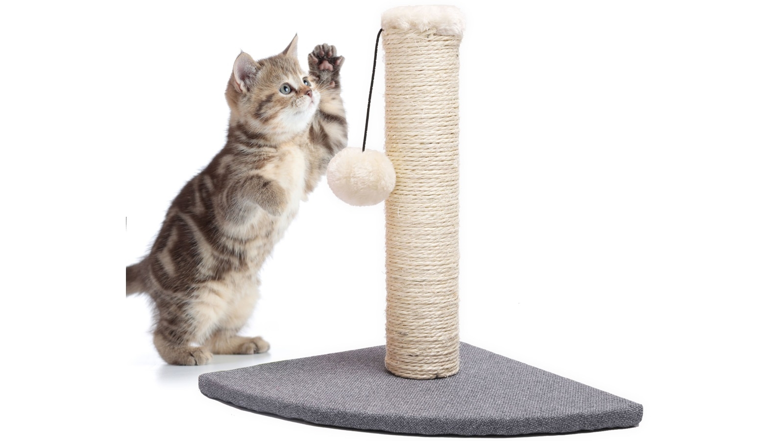 get a cat to use scratching post