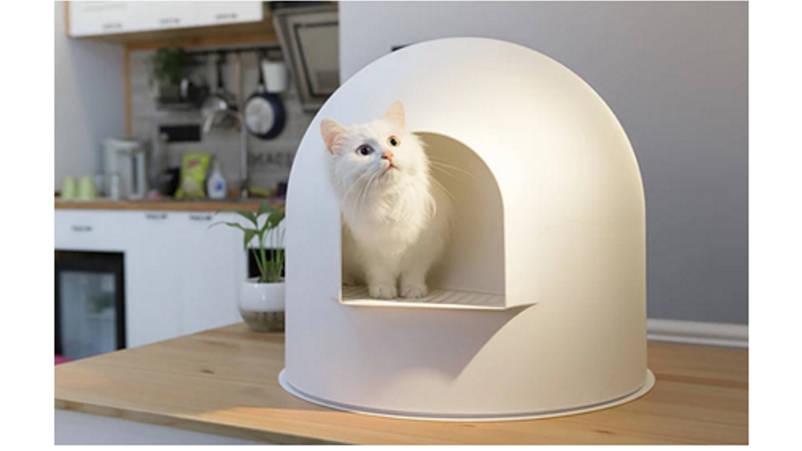 igloo litter tray