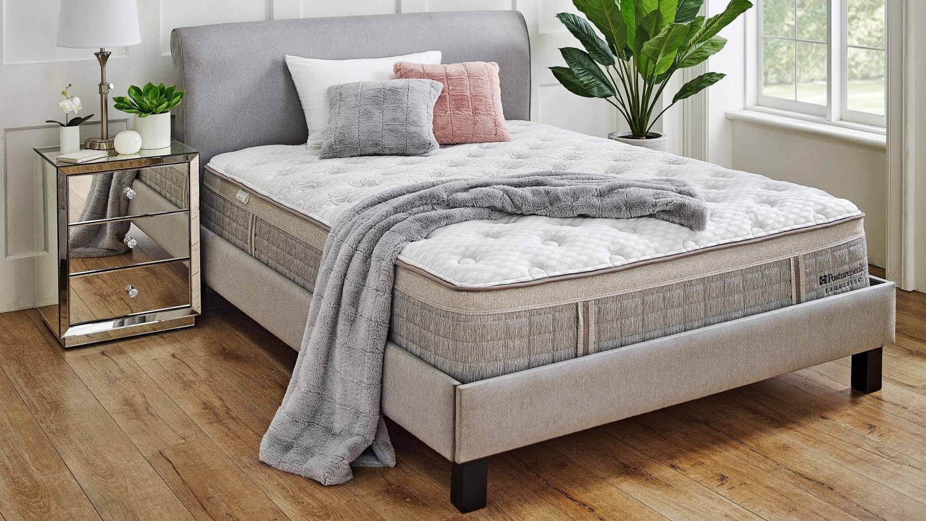 harvey norman sealy bed sale