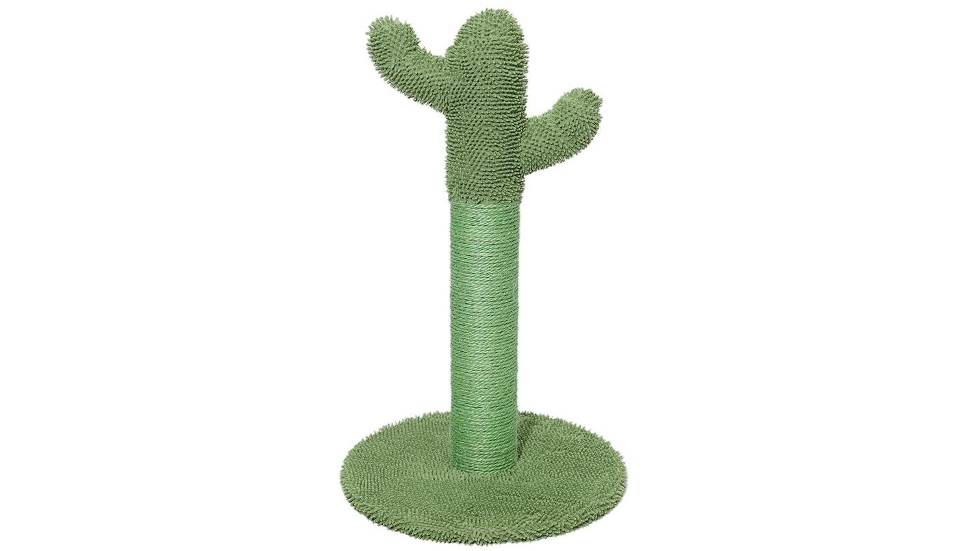 chewy cat scratcher cactus