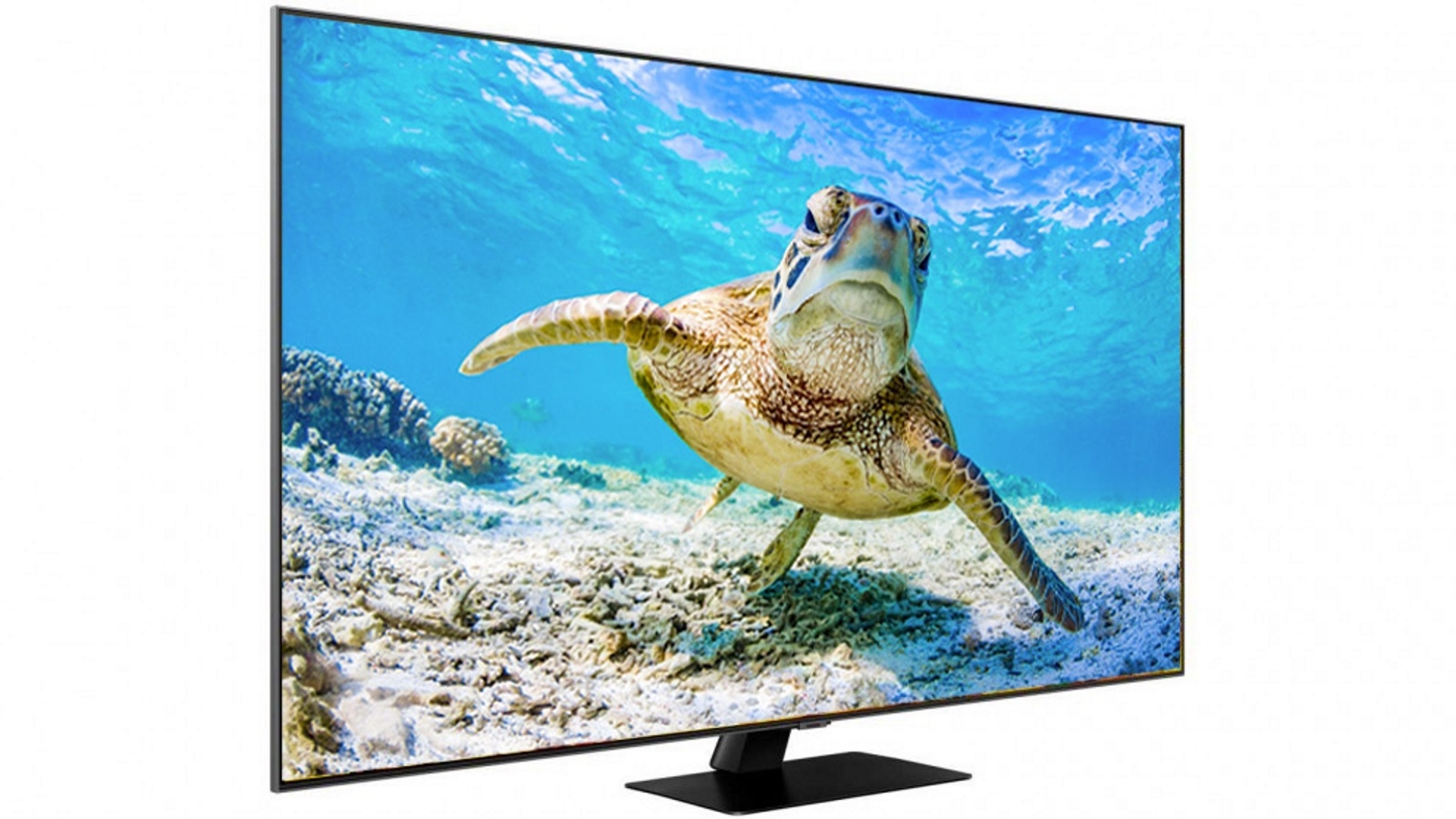 Buy Samsung 75 Inch Q80t 4k Qled Smart Tv Harvey Norman Au