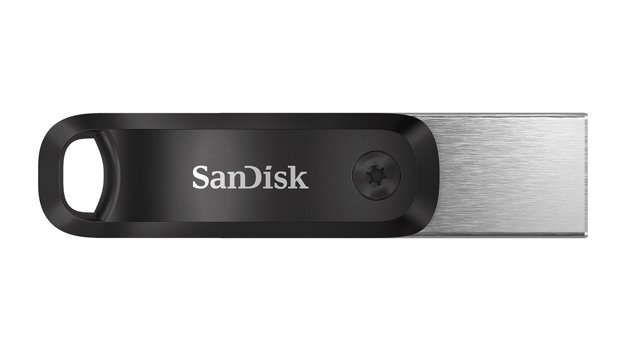 sandisk 256gb flash drive life