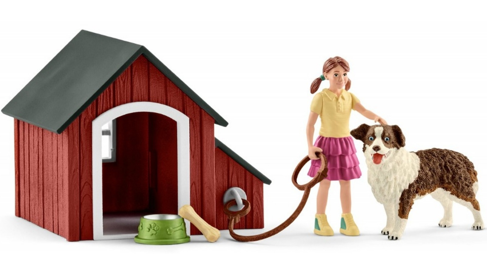 dog house leash