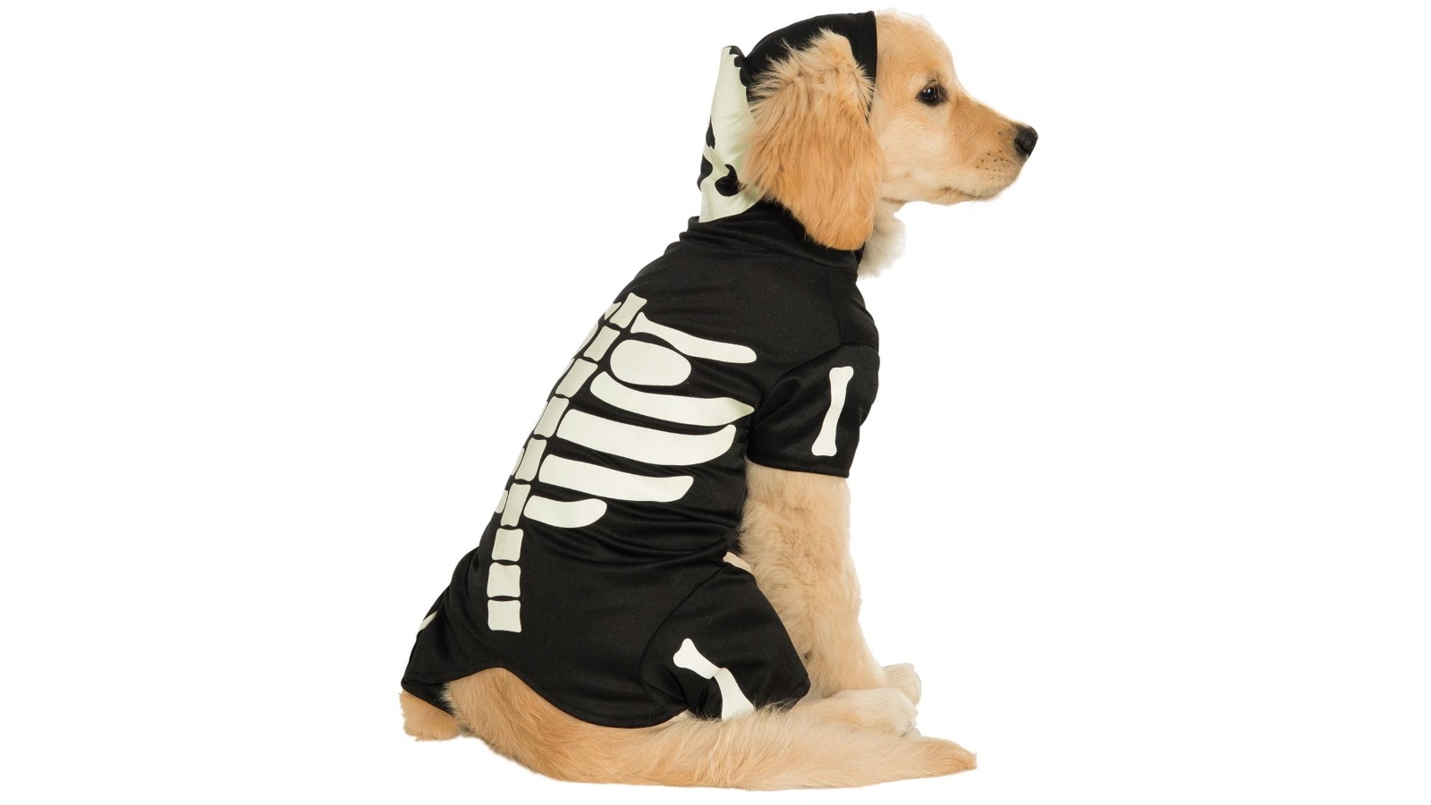 dog skeleton hoodie