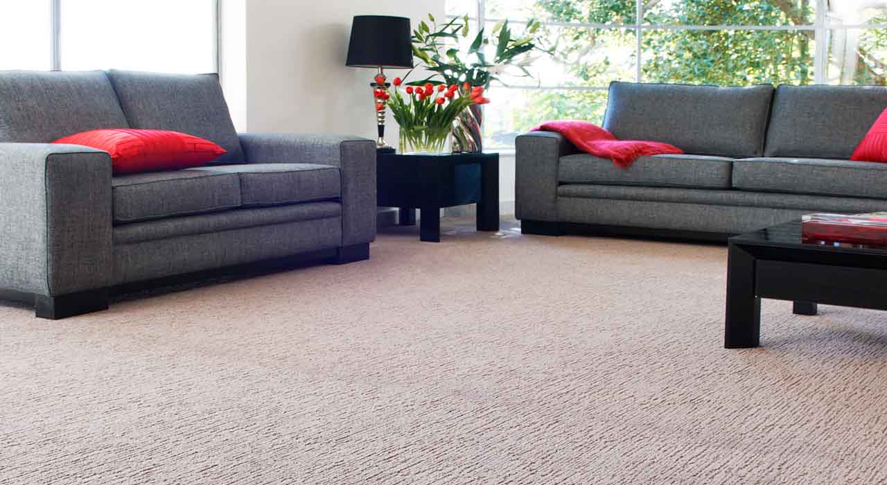 Harvey Norman Carpet Wool at Sidney Donald blog