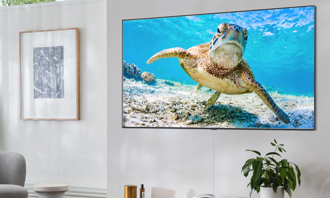 TV Finder