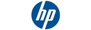 Lifespan Fitness Logo