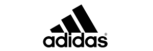 Lifespan Fitness Logo
