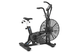 life fitness air bike