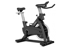 lsg 210 spin bike