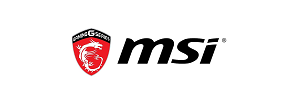 Lifespan Fitness Logo
