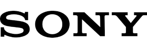 Sony Alpha 6100 Body with 1650 Lens Black 1 Sony Logo