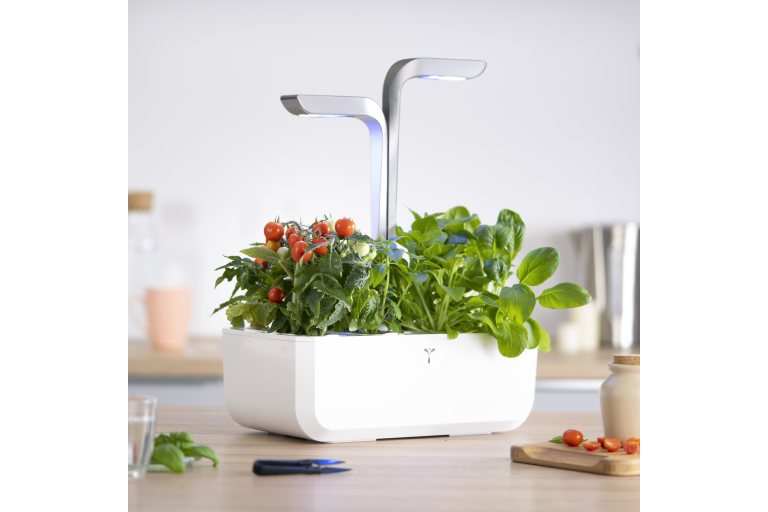 Buy Veritable Smart Hydro Indoor Garden 