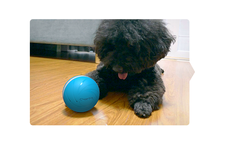 pettecc cheerble wicked ball smart pet toy