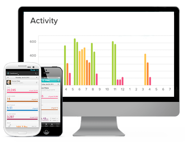 Fitbit Flex Daily Goals