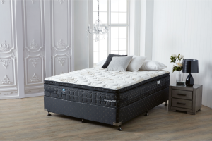 sealy mayfair plush ensemble