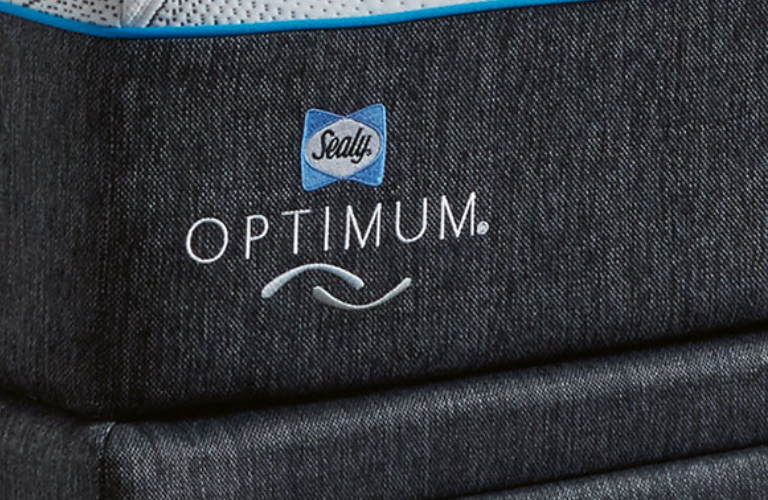 sealy Optimum Adjustable Ensemble