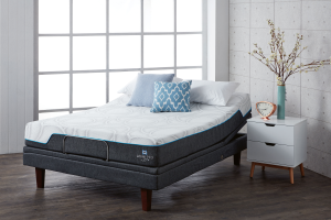 sealy Optimum Adjustable Ensemble
