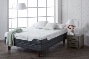 sealy Optimum Adjustable Ensemble